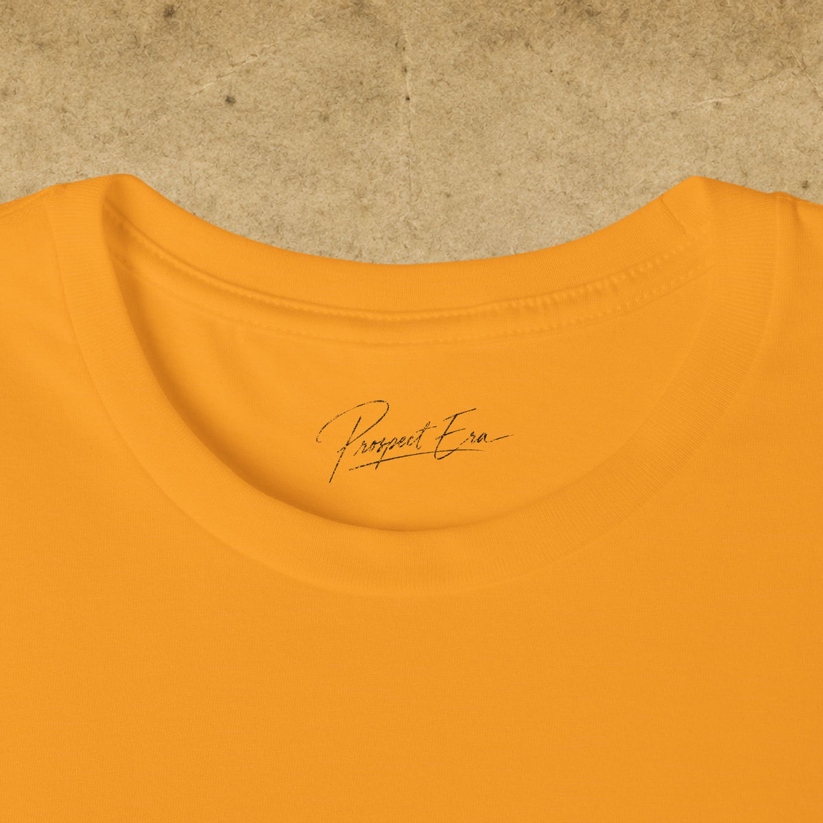 Fairview Foxes Vintage Logo T-Shirt